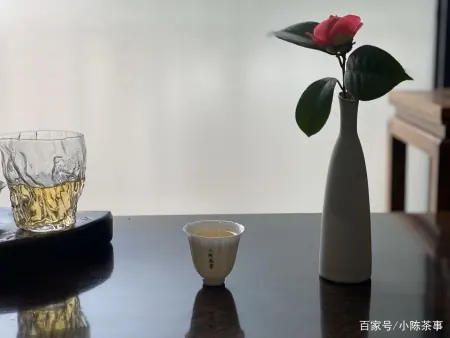 消之宝 消之宝